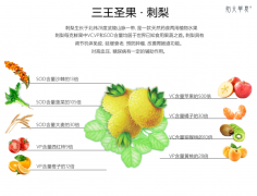 【始元华夏】——教你吃到营养成分没有流失并且可口美味的刺梨