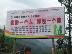 顶梁柱公益保险项目为金平县脱贫攻坚保驾护航