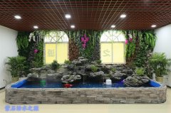中国高新科技：“紫石活水疗法”开创大健康之路