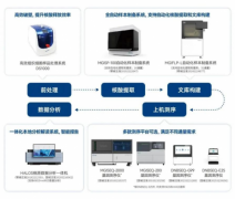 华大基因推出病原微生物基因检测方案，助力临床实