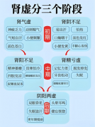 肾虚别乱补！肾宝片系统调理、全面补肾受推崇！