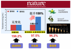 2025年5款男性活力产品深度解析：如何科学提升精力与性功能？