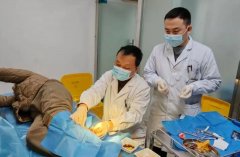 中医药巧退大面积烫伤，九江市中医医院特色疗法加